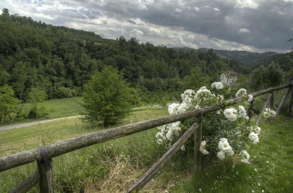 Sinio B&B Il Sole Delle Rive المظهر الخارجي الصورة