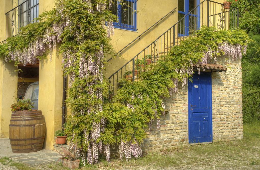 Sinio B&B Il Sole Delle Rive المظهر الخارجي الصورة
